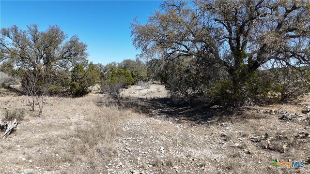 1098 Crabb Ln, Menard, TX 76859 - photo 20