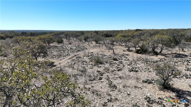 1098 Crabb Ln, Menard, TX 76859 - photo 14