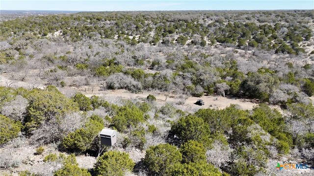 1098 Crabb Ln, Menard, TX 76859 - photo 4
