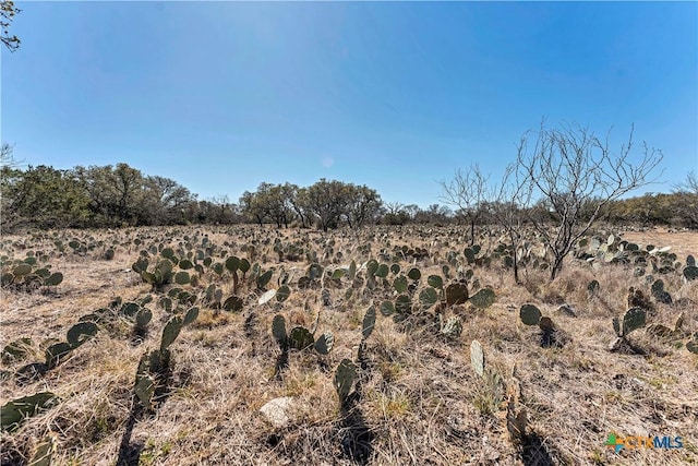 1098 Crabb Ln, Menard, TX 76859 - photo 6