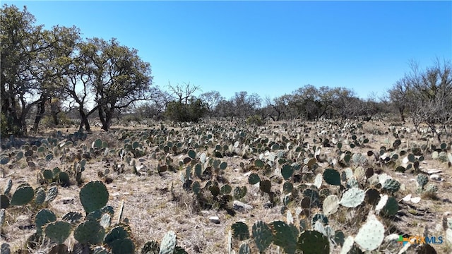 1098 Crabb Ln, Menard, TX 76859 - photo 16
