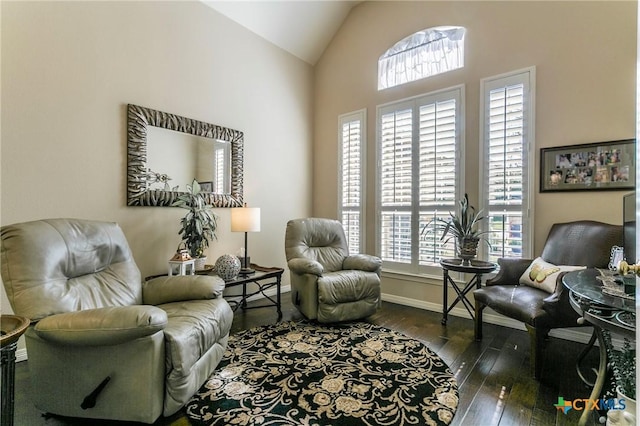 1320 Daisy Ln, Temple, TX 76502 - living area with vaulted ceiling and dark wood-style floors