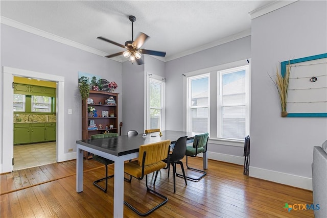 212 Whitfield St, Yoakum, TX 77995 - office featuring a sink, wood-type flooring, ceiling fan, plenty of natural light, and ornamental molding