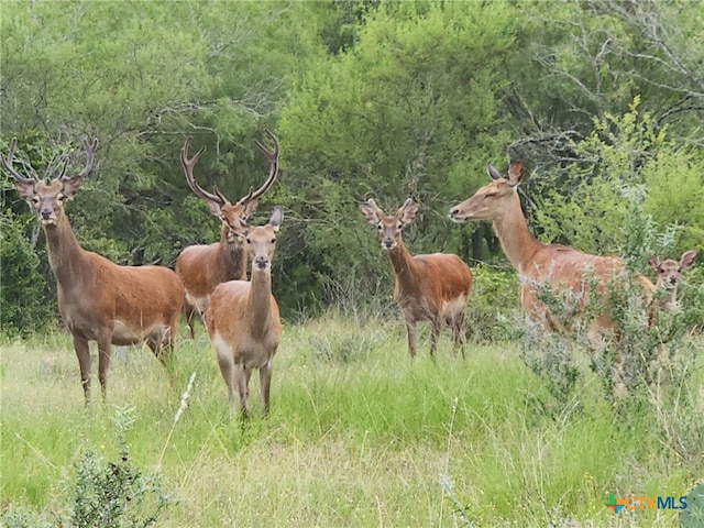 0 Old Seguin Luling Rd, Seguin, TX 78155 - photo 21