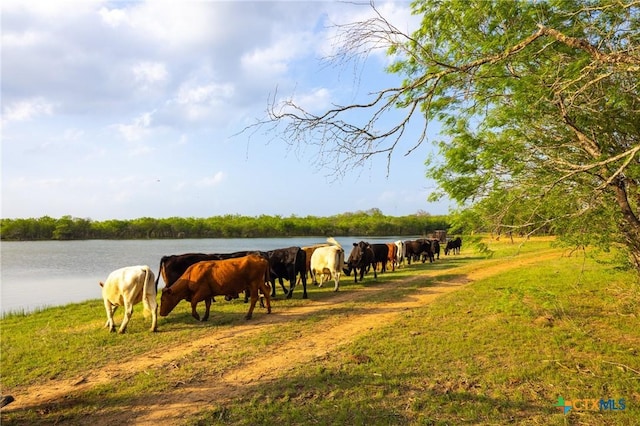 0 Old Seguin Luling Rd, Seguin, TX 78155 - photo 8