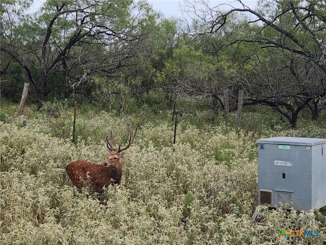 0 Old Seguin Luling Rd, Seguin, TX 78155 - photo 27