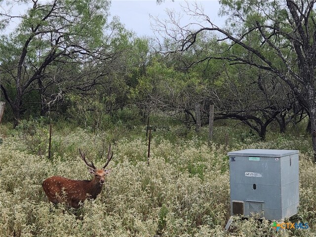 0 Old Seguin Luling Rd, Seguin, TX 78155 - photo 24