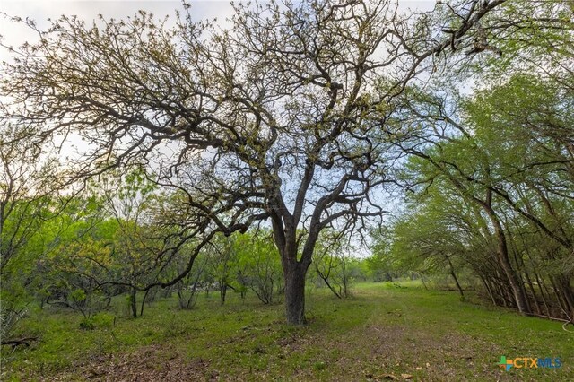 0 Old Seguin Luling Rd, Seguin, TX 78155 - photo 16