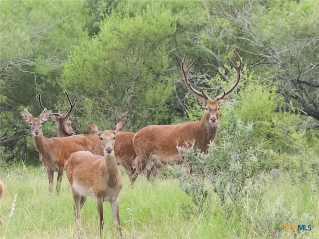 0 Old Seguin Luling Rd, Seguin, TX 78155 - photo 29