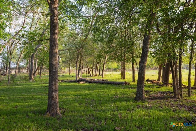 0 Old Seguin Luling Rd, Seguin, TX 78155 - photo 4