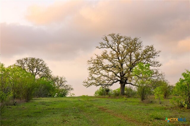 0 Old Seguin Luling Rd, Seguin, TX 78155 - photo 9
