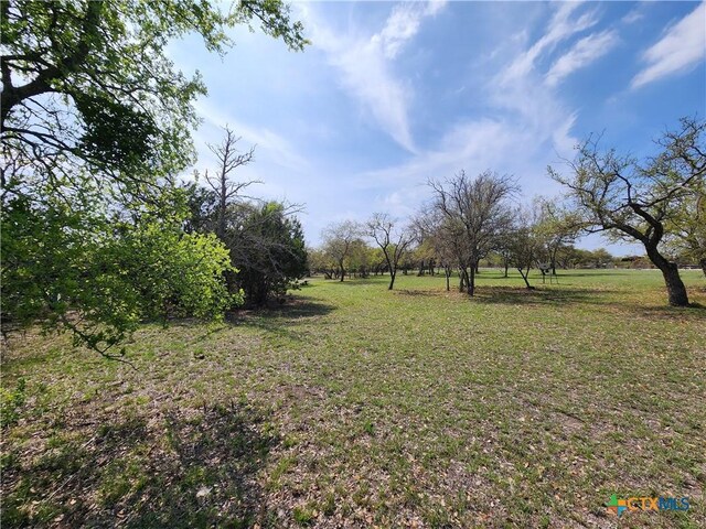 212 Oak Glen Ln, Briggs, TX 78608