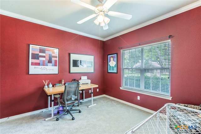 4503 Sunflower Ln, Temple, TX 76502 - photo 28
