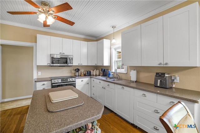 124 County Road 356b, Shiner, TX 77984 - kitchen with appliances with stainless steel finishes, a sink, dark wood-type flooring, ornamental molding, and ceiling fan