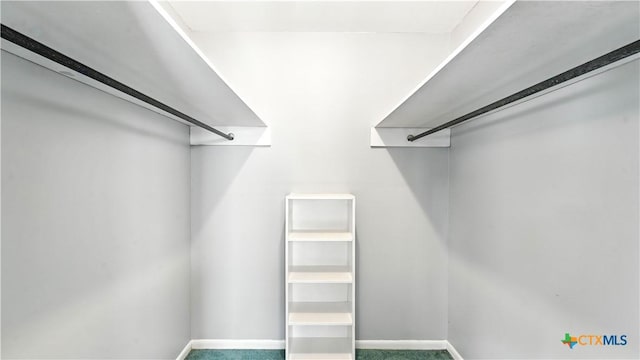 162 Lone Oak St, Seguin, TX 78155 - view of walk in closet