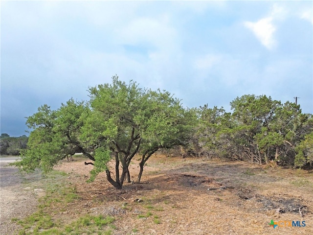 2237 Potters Creek Rd, Canyon Lake, TX 78133