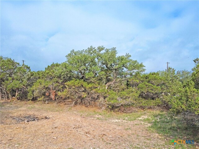 2237 Potters Creek Rd, Canyon Lake, TX 78133