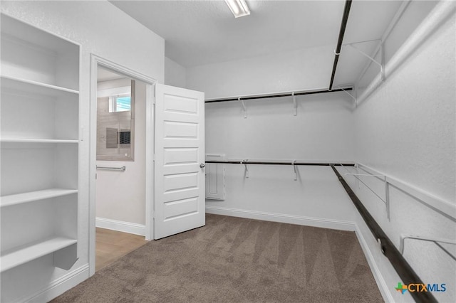 walk in closet with carpet flooring