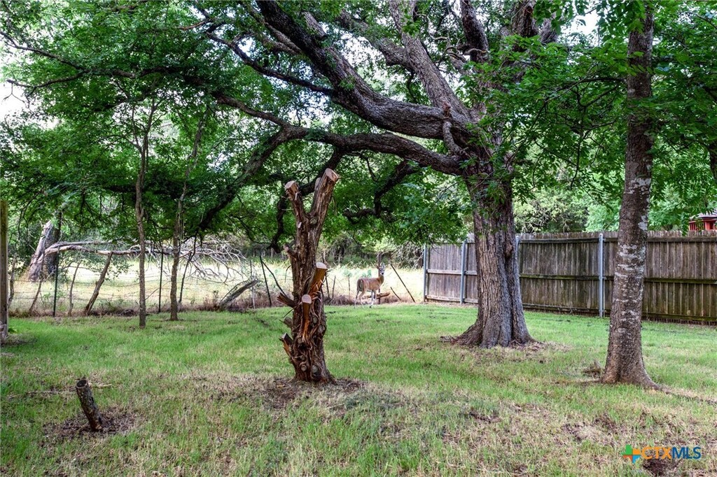 36 Bluebonnet Dr, Belton, TX 76513 - photo 3