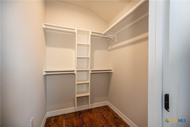 193 Powderhorn Ln, Port Lavaca, TX 77979 - spacious closet with dark wood-type flooring