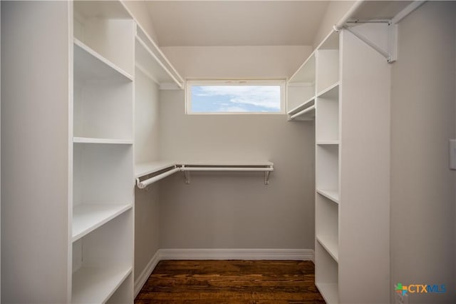 193 Powderhorn Ln, Port Lavaca, TX 77979 - spacious closet with wood finished floors