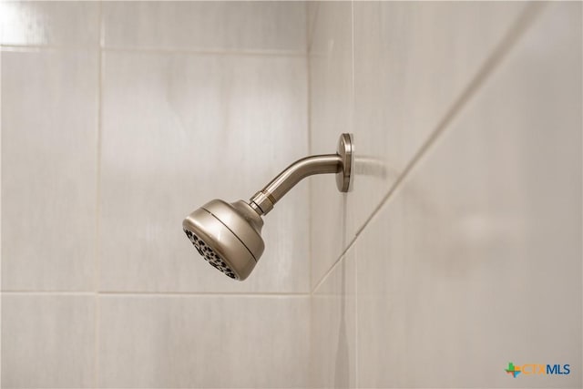 193 Powderhorn Ln, Port Lavaca, TX 77979 - bathroom view of a tile shower