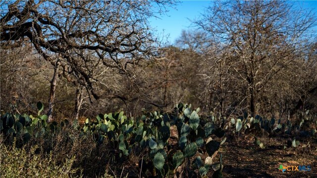 000 Fm 476, Somerset, TX 78069 - photo 9