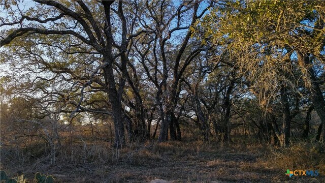 000 Fm 476, Somerset, TX 78069 - photo 23
