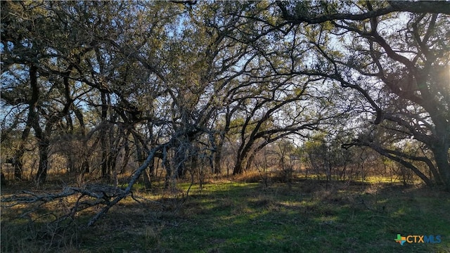 000 Fm 476, Somerset, TX 78069 - photo 21