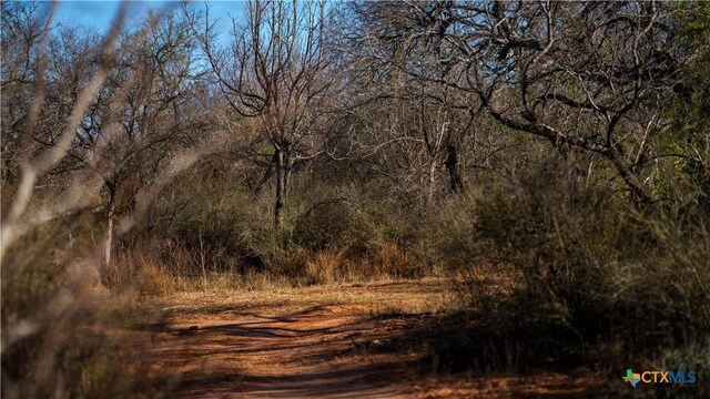 000 Fm 476, Somerset, TX 78069 - photo 5