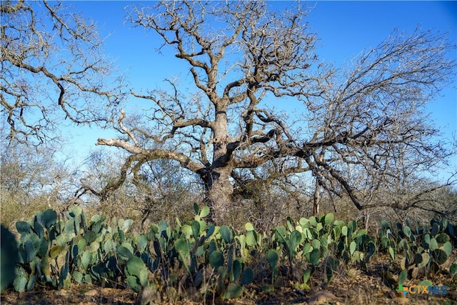 000 Fm 476, Somerset, TX 78069 - photo 8