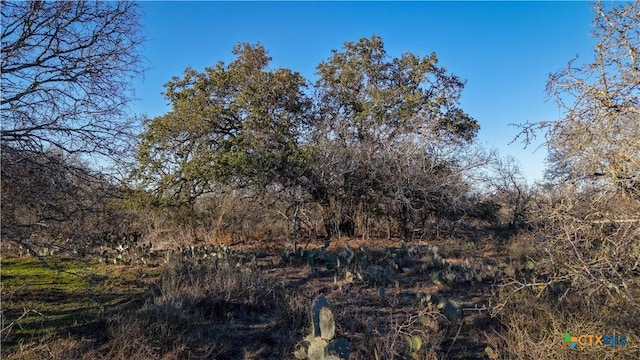 000 Fm 476, Somerset, TX 78069 - photo 16