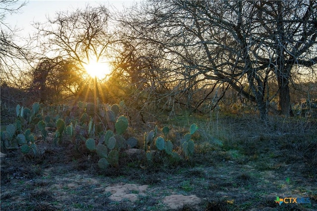 000 Fm 476, Somerset, TX 78069 - photo 11