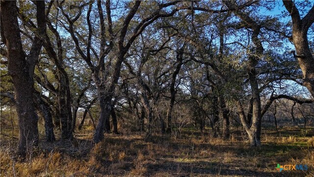 000 Fm 476, Somerset, TX 78069 - photo 20