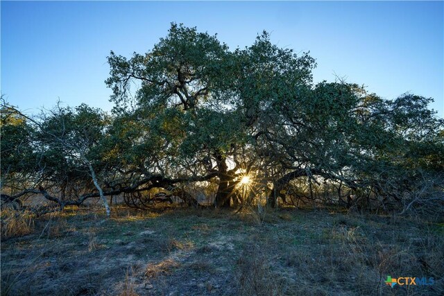 000 Fm 476, Somerset, TX 78069 - photo 10