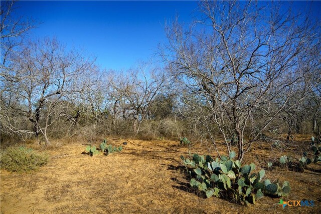 000 Fm 476, Somerset, TX 78069 - photo 4
