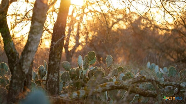 000 Fm 476, Somerset, TX 78069 - photo 13