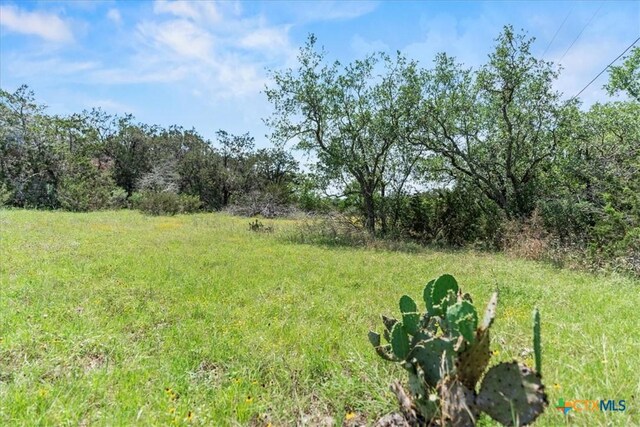 1001 Bluff View Rd, Wimberley, TX 78676 - photo 8