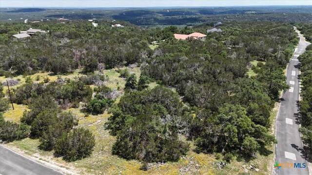 1001 Bluff View Rd, Wimberley, TX 78676 - photo 12