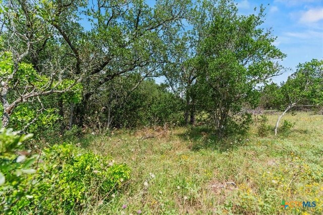 1001 Bluff View Rd, Wimberley, TX 78676 - photo 9