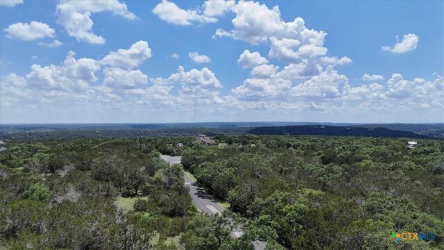1001 Bluff View Rd, Wimberley, TX 78676 - photo 15