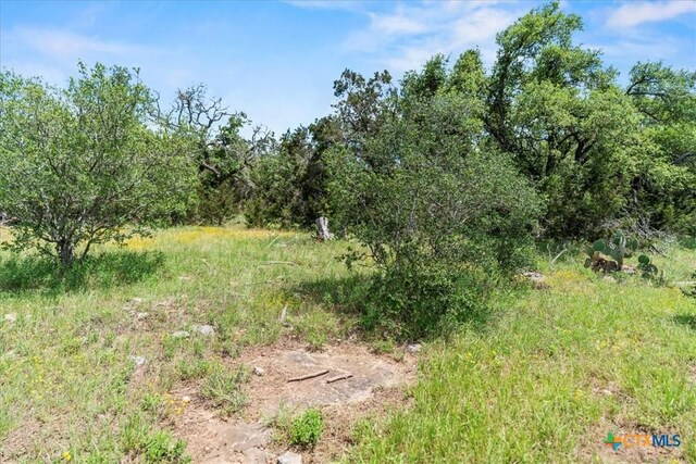 1001 Bluff View Rd, Wimberley, TX 78676 - photo 6