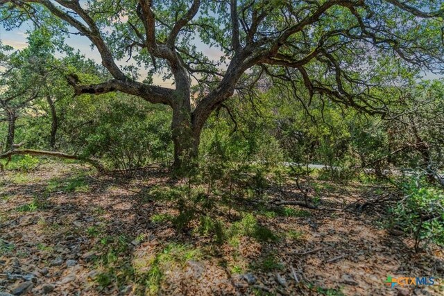 1001 Bluff View Rd, Wimberley, TX 78676 - photo 2