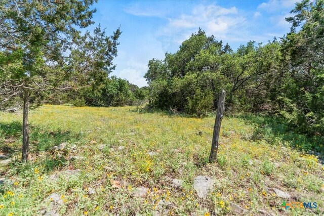 1001 Bluff View Rd, Wimberley, TX 78676 - photo 10