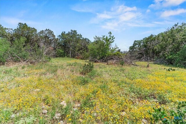 1001 Bluff View Rd, Wimberley, TX 78676 - photo 4