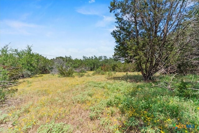 1001 Bluff View Rd, Wimberley, TX 78676 - photo 5