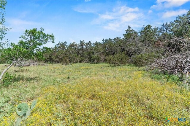1001 Bluff View Rd, Wimberley, TX 78676 - photo 7