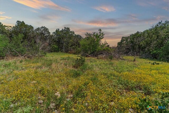 1001 Bluff View Rd, Wimberley, TX 78676 - photo 1