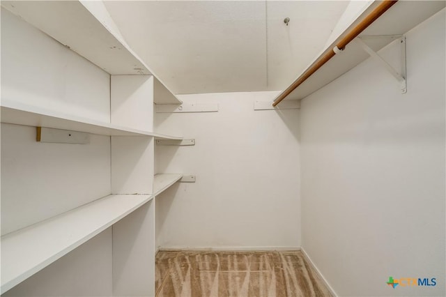 spacious closet with light carpet