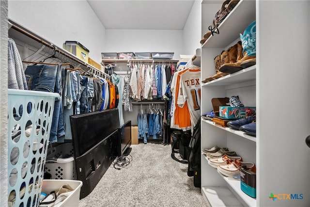 7511 Wind Chime Way, Temple, TX 76502 - spacious closet with carpet